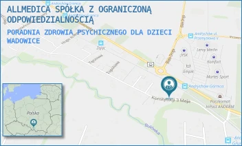 PORADNIA ZDROWIA PSYCHICZNEGO DLA DZIECI - ALLMEDICA SPÓŁKA Z OGRANICZONĄ ODPOWIEDZIALNOŚCIĄ - UL. KONSTYTUCJI 3 MAJA 4,  WADOWICE