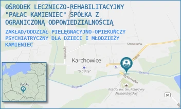 ZAKŁAD/ODDZIAŁ PIELĘGNACYJNO-OPIEKUŃCZY PSYCHIATRYCZNY DLA DZIECI I MŁODZIEŻY - OŚRODEK LECZNICZO-REHABILITACYJNY "PAŁAC KAMIENIEC" SPÓŁKA Z OGRANICZONĄ ODPOWIEDZIALNOŚCIĄ - UL. POLNA 2,  KAMIENIEC
